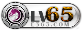 等级-LV65-龙网 - 教程、网赚、安全、免费资源